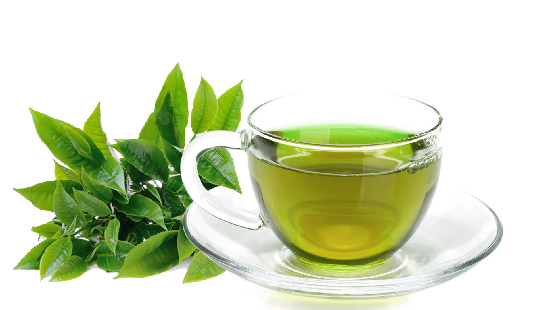 фото кружки зеленого чая