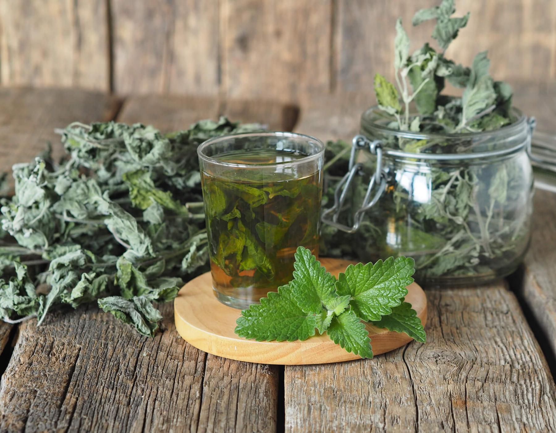 Как приготовить чай из листьев. Чай из трав. Травяной чай из листьев мяты. Ароматные травы для чая.