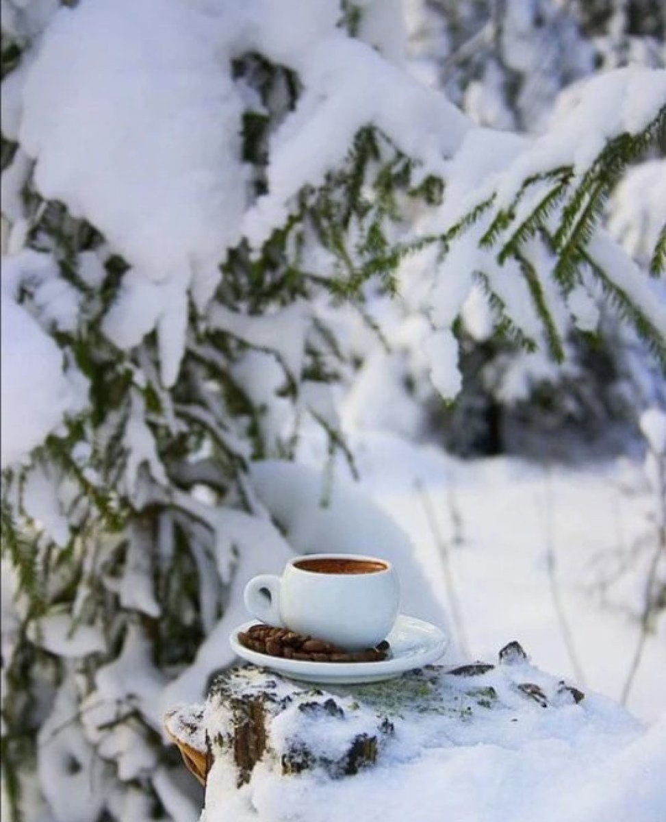 Чашка Кофе На Снегу