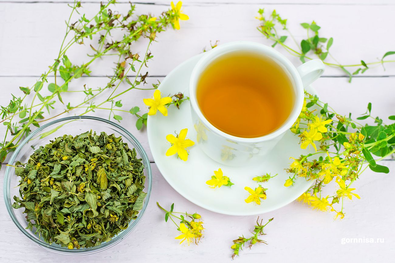 Травы вместо чая каждый день. Трава чай зверобой зверобой. Чай травяной Дивия зверобой. Зверобой продырявленный чай. Чай душица мята.