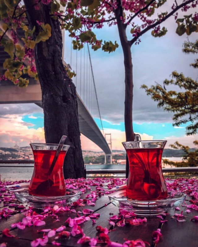 Турция Эстетика чай