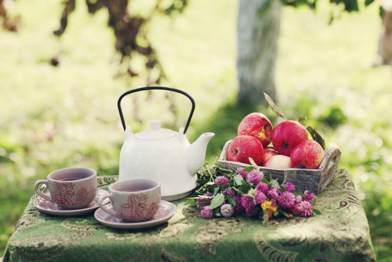 Чаепитие в саду