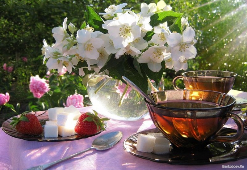 Чайный стол в саду