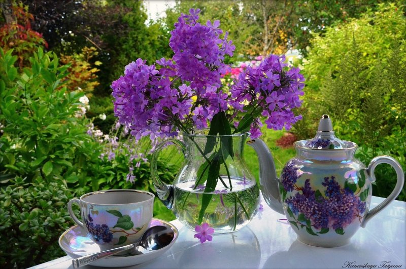 Чашка чая в саду (37 фото)