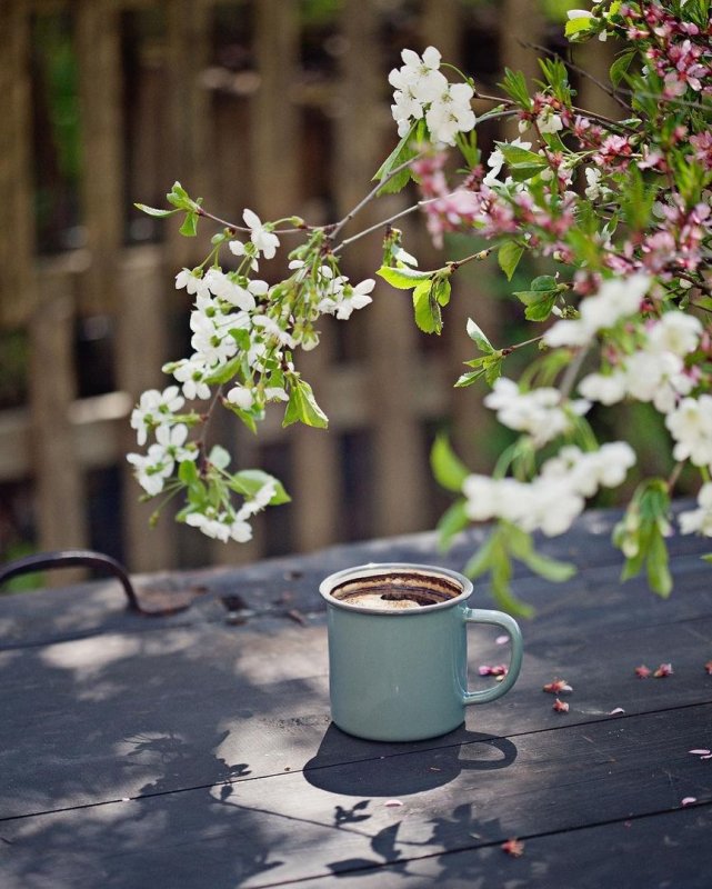 Летнее чаепитие в саду