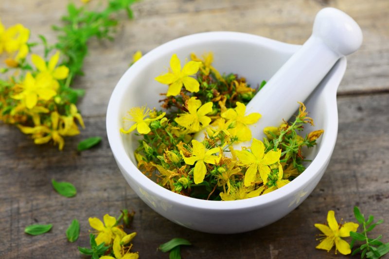 Желтые горные цветки для чая