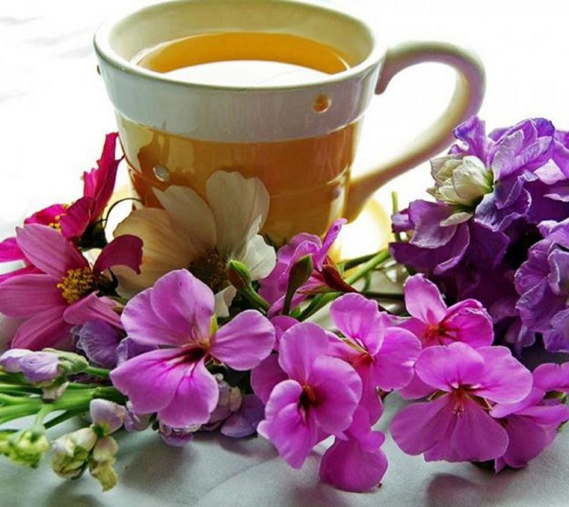 Чай с цветами