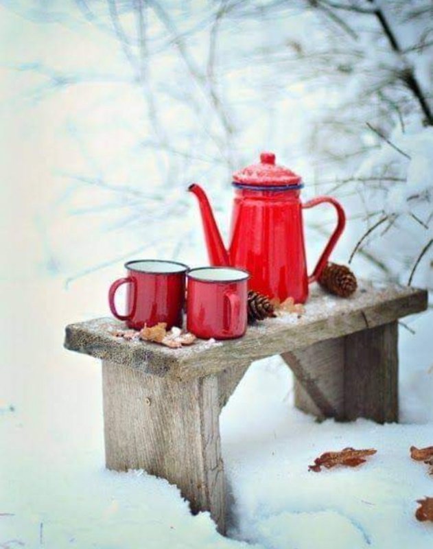 Чай на снегу фото
