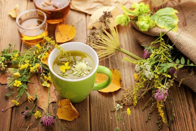 Чай из лекарственных растений