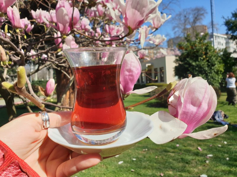 Турецкий чай с цветами