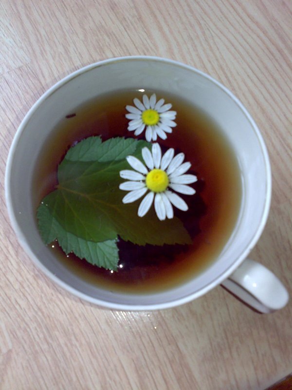 Чашка чая с ромашкой