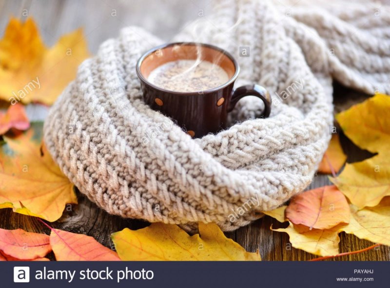 Осень шарф чай