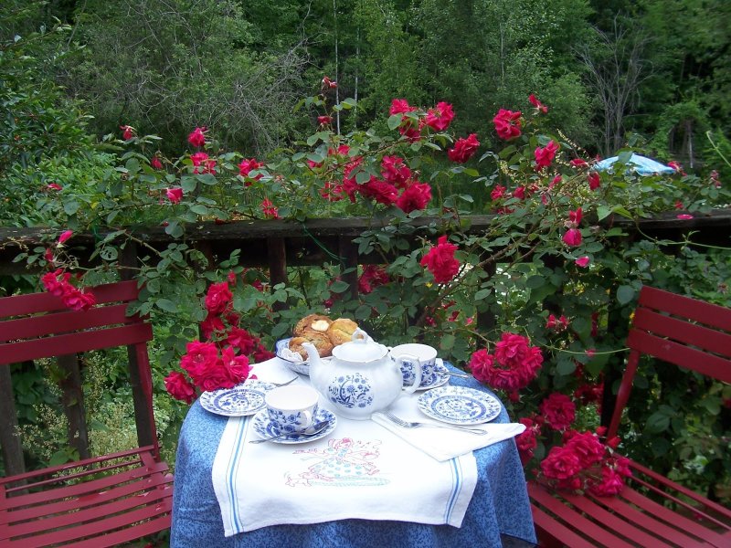Летнее чаепитие в саду