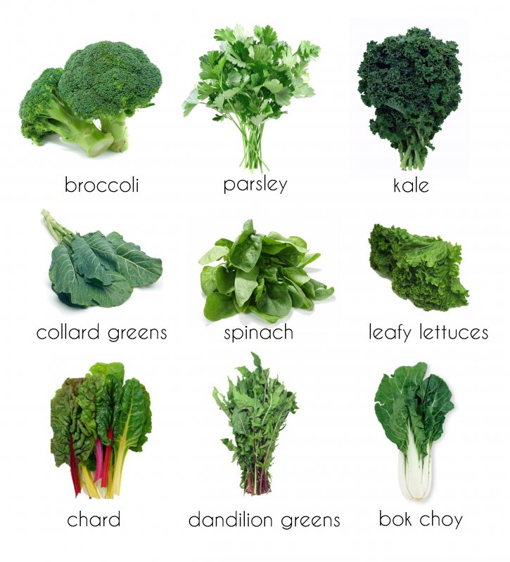 Зелень для салатов названия