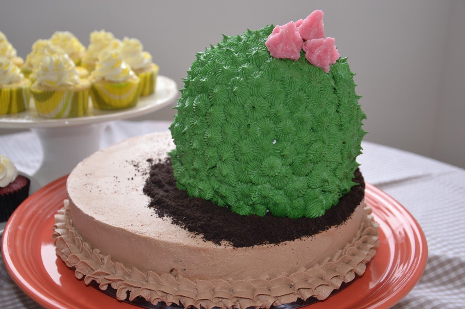Торт с кактусами фото