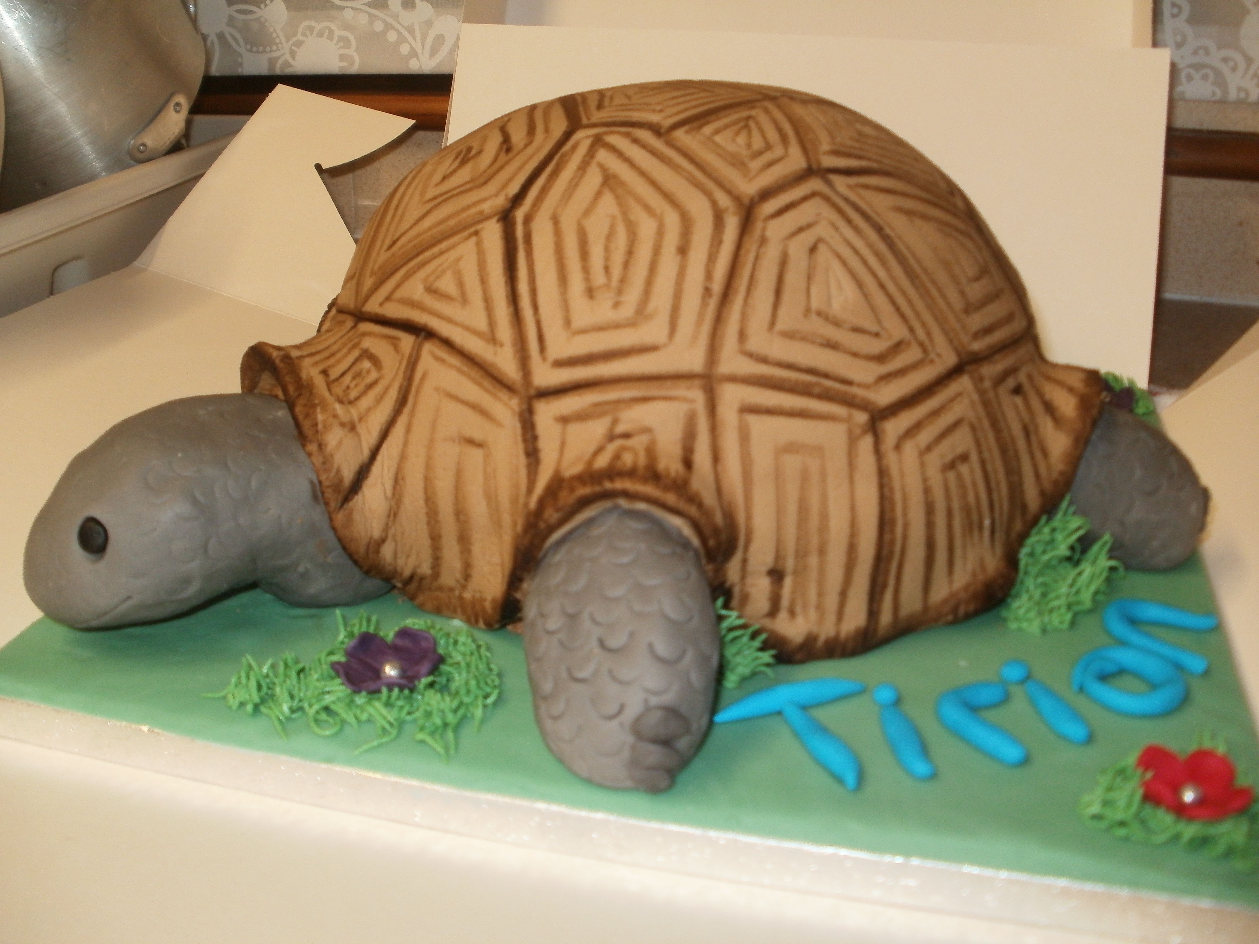 Торт Tortoise