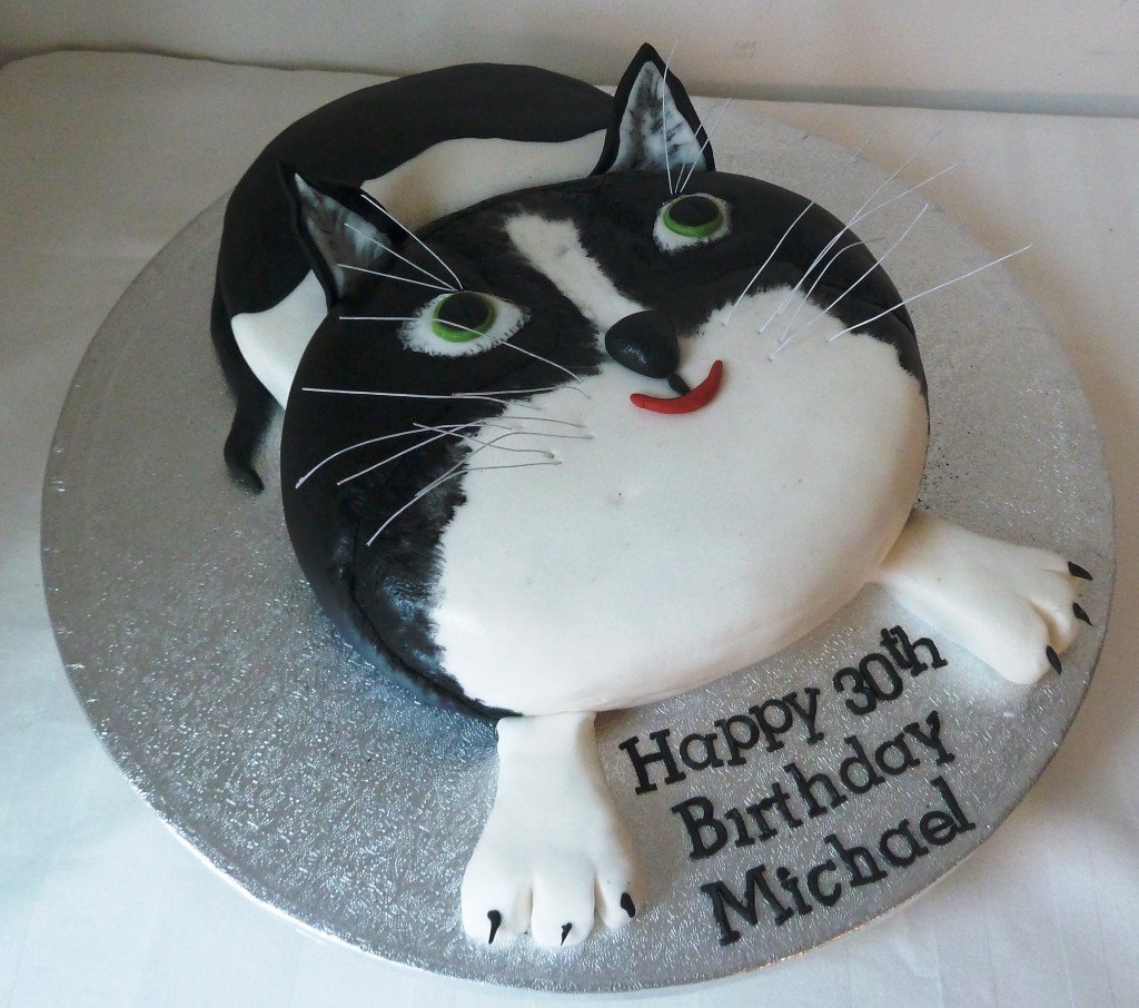 Торт в виде котика фото