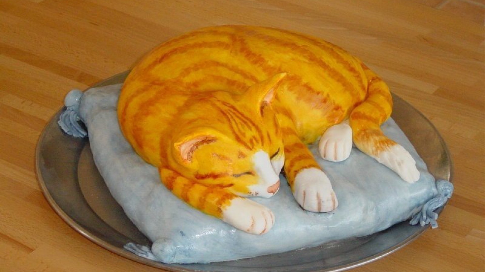 Торт в виде кошачьего лотка фото