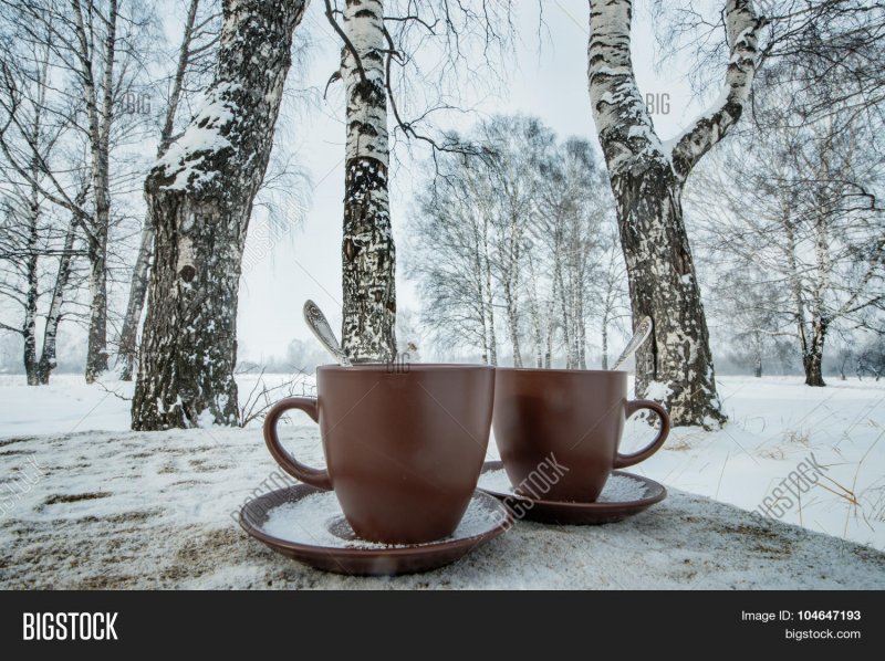 Кофе в зимнем лесу