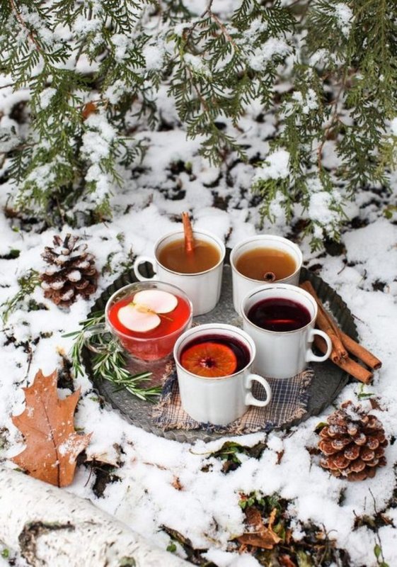 Чаепитие в лесу зимой