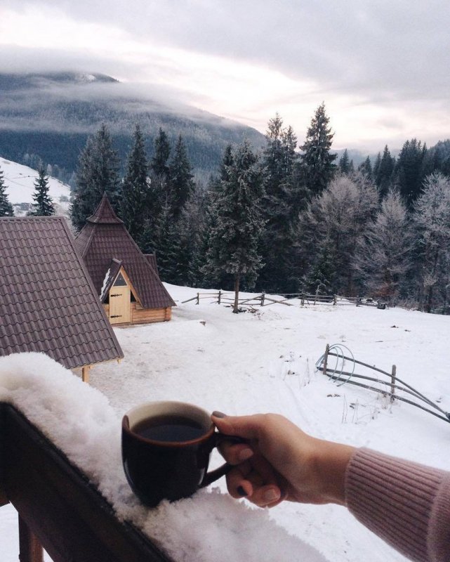 Фотосессия зима чай
