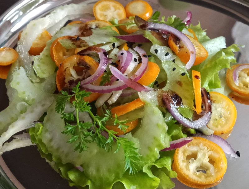 Салат овощной с редисом